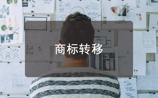 企業(yè)注銷后使用企業(yè)為主體申請的商標(biāo)還能用嗎?
