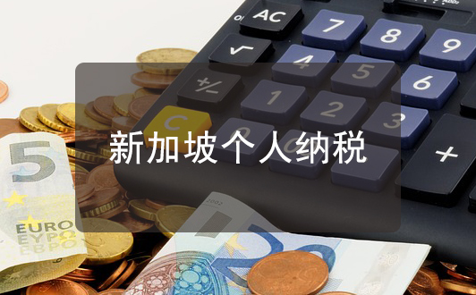 新加坡個(gè)人所得稅稅率及稅單類型詳解