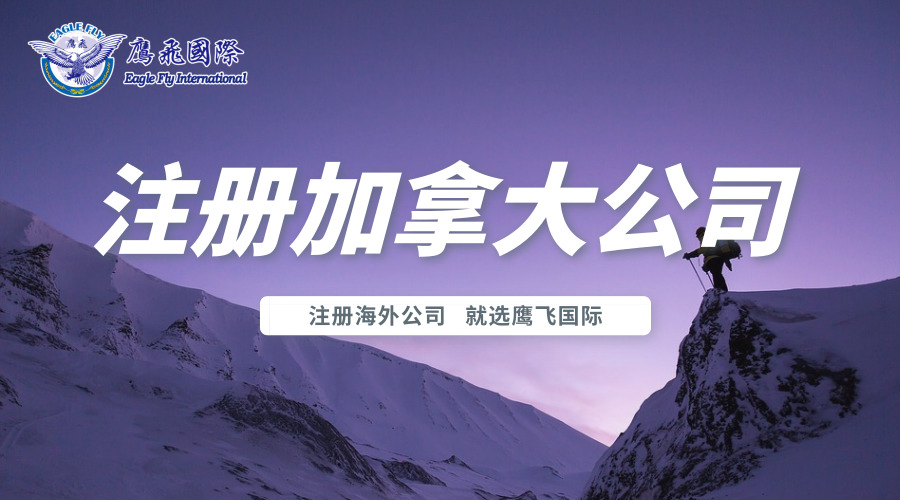 如何在加拿大安大略省注冊自己的公司-有限公司篇