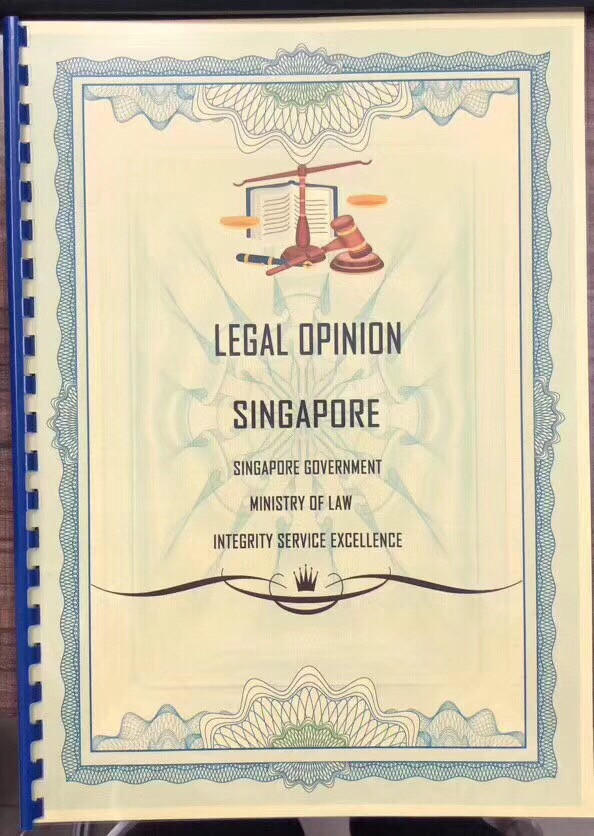 注冊新加坡區塊鏈公司發行ico有哪些要求?