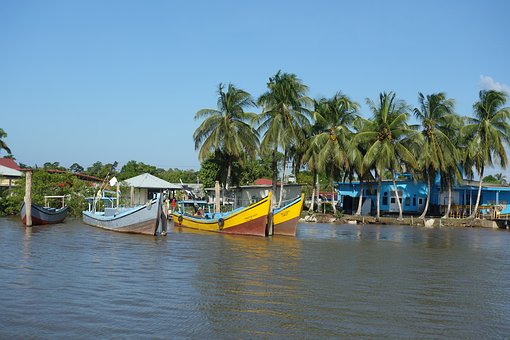 蘇里南對(duì)中國(guó)免簽，蘇里南海關(guān)規(guī)定解讀1